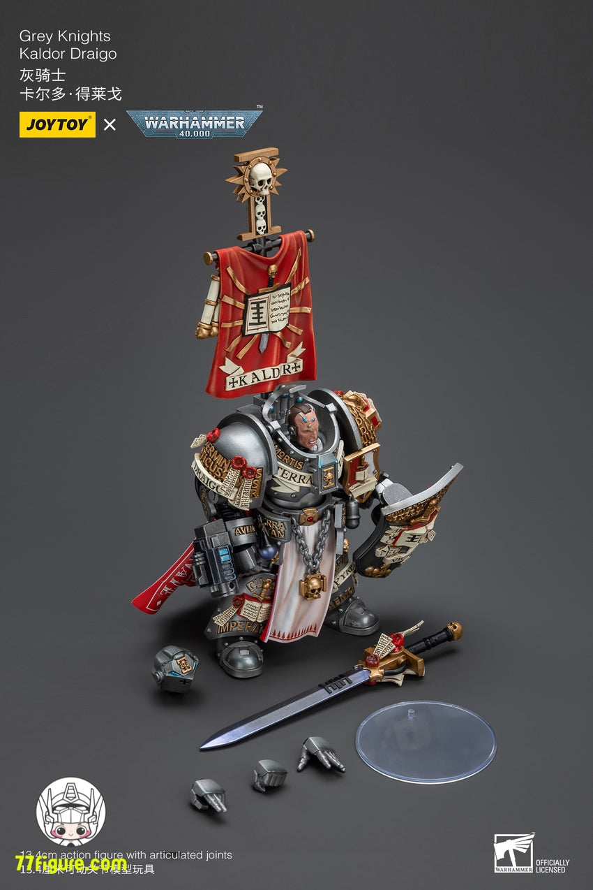 【品切れ】ジョイトイ JoyToy Source 1/18 『ウォーハンマー40K』グレイナイツ カルドール ドライゴ 塗装済み可動フィギュア