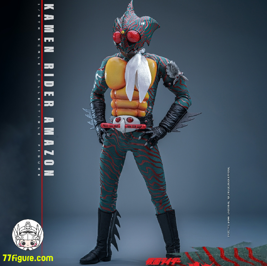 Hot Toys 1/6 TMS184 仮面ライダー アマゾン 塗装済み可動フィギュア