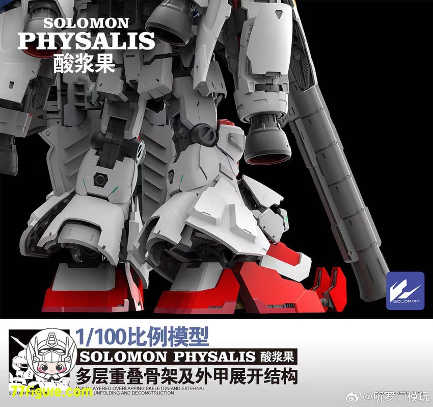 ソロモン Solomon 1/100 MG RX-78GP02A ガンダム試作2号機 サイサリス ガンプラ