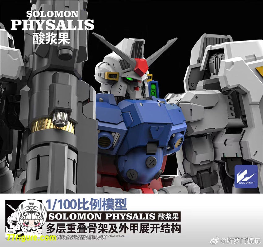 ソロモン Solomon 1/100 MG RX-78GP02A ガンダム試作2号機 サイサリス ガンプラ