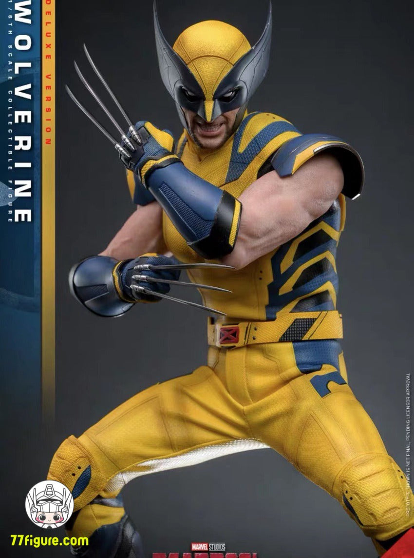 【予約受付終了】Hot Toys 1/6 MMS753 『デッドプール&ウルヴァリン』ウルヴァリン 普通版 塗装済み可動フィギュア