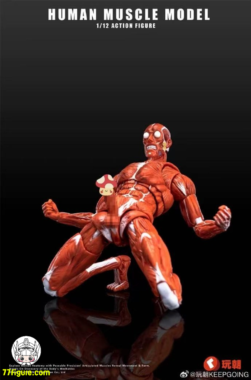 【予約商品】KEEPGOING 1/12 人体筋肉 超可動素体 赤色Ver.