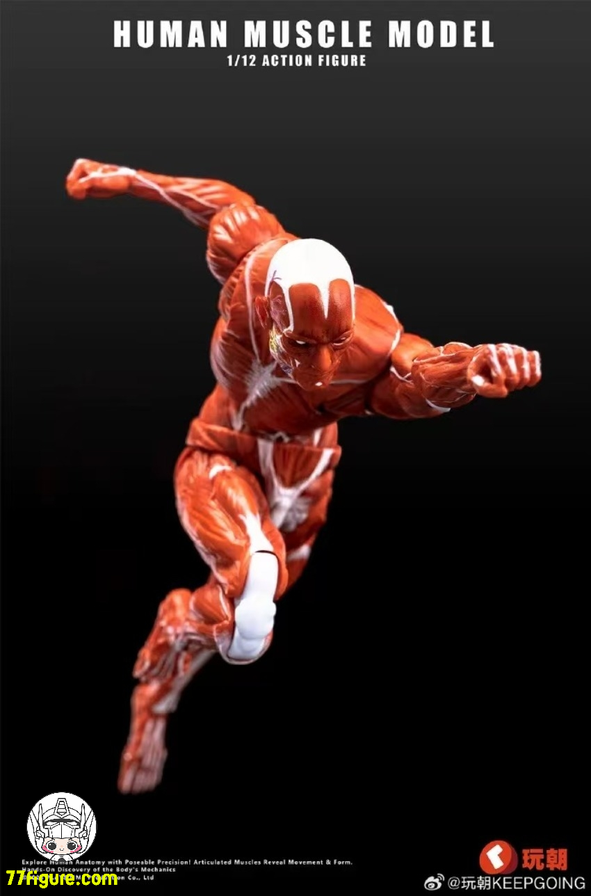 【品切れ】KEEPGOING 1/12 人体筋肉 超可動素体 赤色Ver.