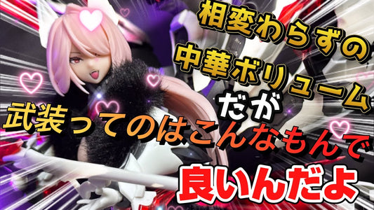【動画】【美プラ】  妲己 武装ってのはこんなもんでいいんだよ❗️ 中華キットATKGirl 妲己 がクオリティ高かった【中華キット】【ATKガール】 c/o イセ界工房