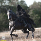 Round Culture Nazgûl & Nazgûl Steed Set