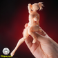 【予約商品】蝸之殻(スネイルシェル)  エクシード パーフェクション EXP 筋肉質女性可動素体