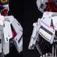 【予約商品】AOK Model 1/100 RX-9/C ナラティブガンダム用 ガレージキット