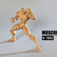 【予約商品】K Toys 1/12 KT01 強く筋肉質 可動男性素体 ブラウン バージョン