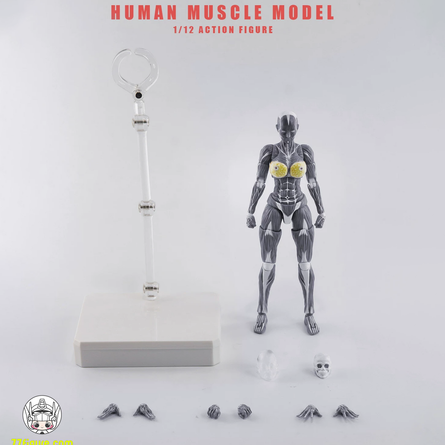 【予約商品】KEEPGOING 1/12 女性筋肉モデル 超可動ドール グレーカラーVer. 塗装済み可動フィギュア
