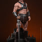【予約商品】Hot Toys 1/6『マスターズ・オブ・ザ・ユニバース 2026』ヒーマン 塗装済み可動フィギュア