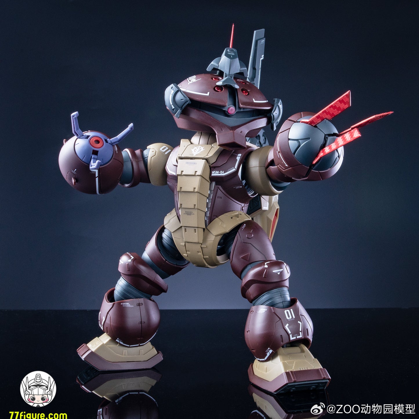 【予約商品】Zoo Model Zoo Series タートル プラモデル