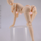 【予約商品】Wind Toys 1/12 FMW006 スーパーモデル 可動女性素体「ホワイトスキン」