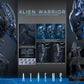 【予約商品】Hot Toys 1/6 MMS898『エイリアン2』エイリアン・ウォーリア 塗装済み可動フィギュア