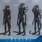【予約商品】Hot Toys 1/6 MMS899『エイリアン2』エイリアン・ウォーリア 豪華版 塗装済み可動フィギュア