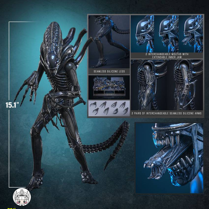 【予約商品】Hot Toys 1/6 MMS898『エイリアン2』エイリアン・ウォーリア 塗装済み可動フィギュア
