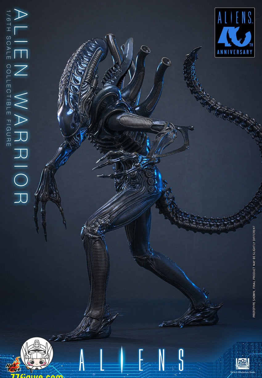 【予約商品】Hot Toys 1/6 MMS898『エイリアン2』エイリアン・ウォーリア 塗装済み可動フィギュア
