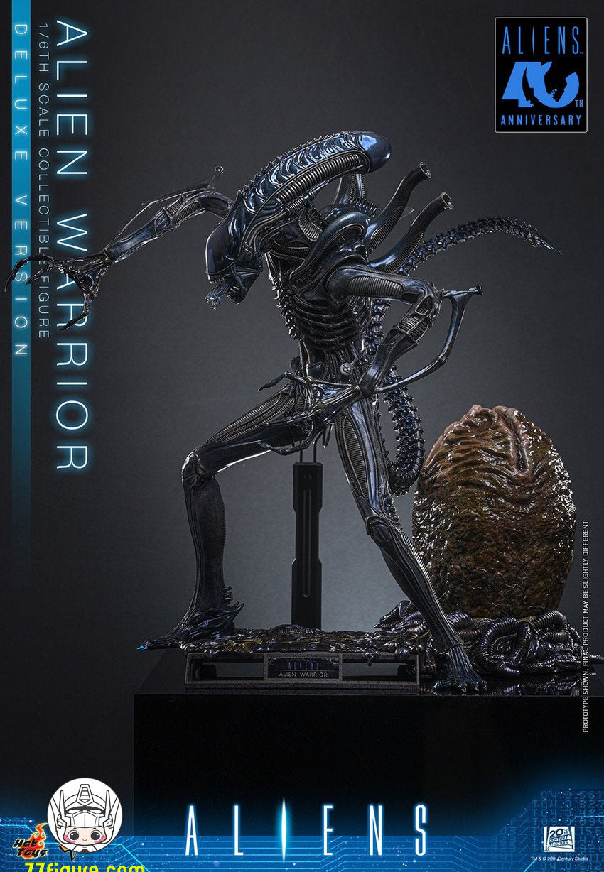 【予約商品】Hot Toys 1/6 MMS899『エイリアン2』エイリアン・ウォーリア 豪華版 塗装済み可動フィギュア