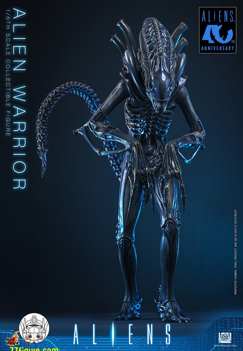 【予約商品】Hot Toys 1/6 MMS898『エイリアン2』エイリアン・ウォーリア 塗装済み可動フィギュア