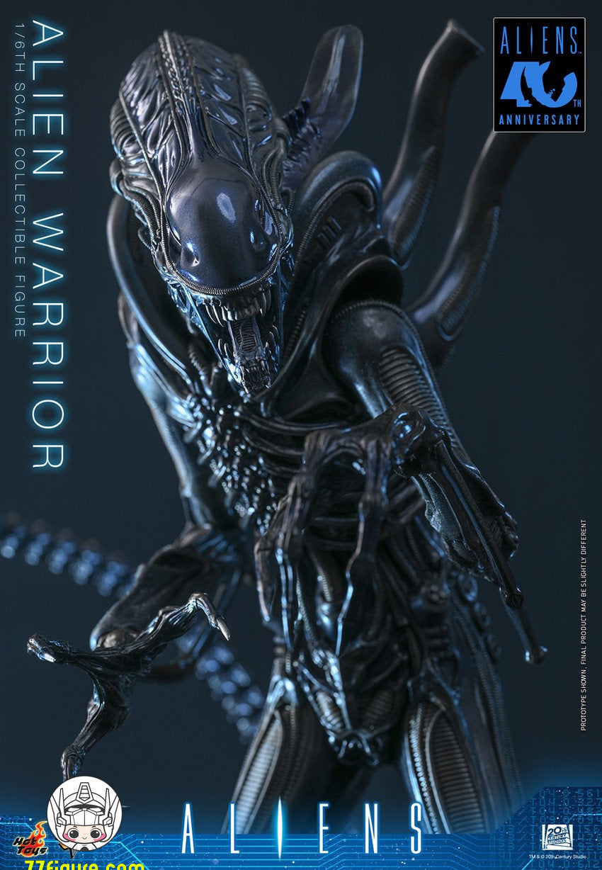 【予約商品】Hot Toys 1/6 MMS898『エイリアン2』エイリアン・ウォーリア 塗装済み可動フィギュア