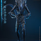 【予約商品】Hot Toys 1/6 MMS899『エイリアン2』エイリアン・ウォーリア 豪華版 塗装済み可動フィギュア