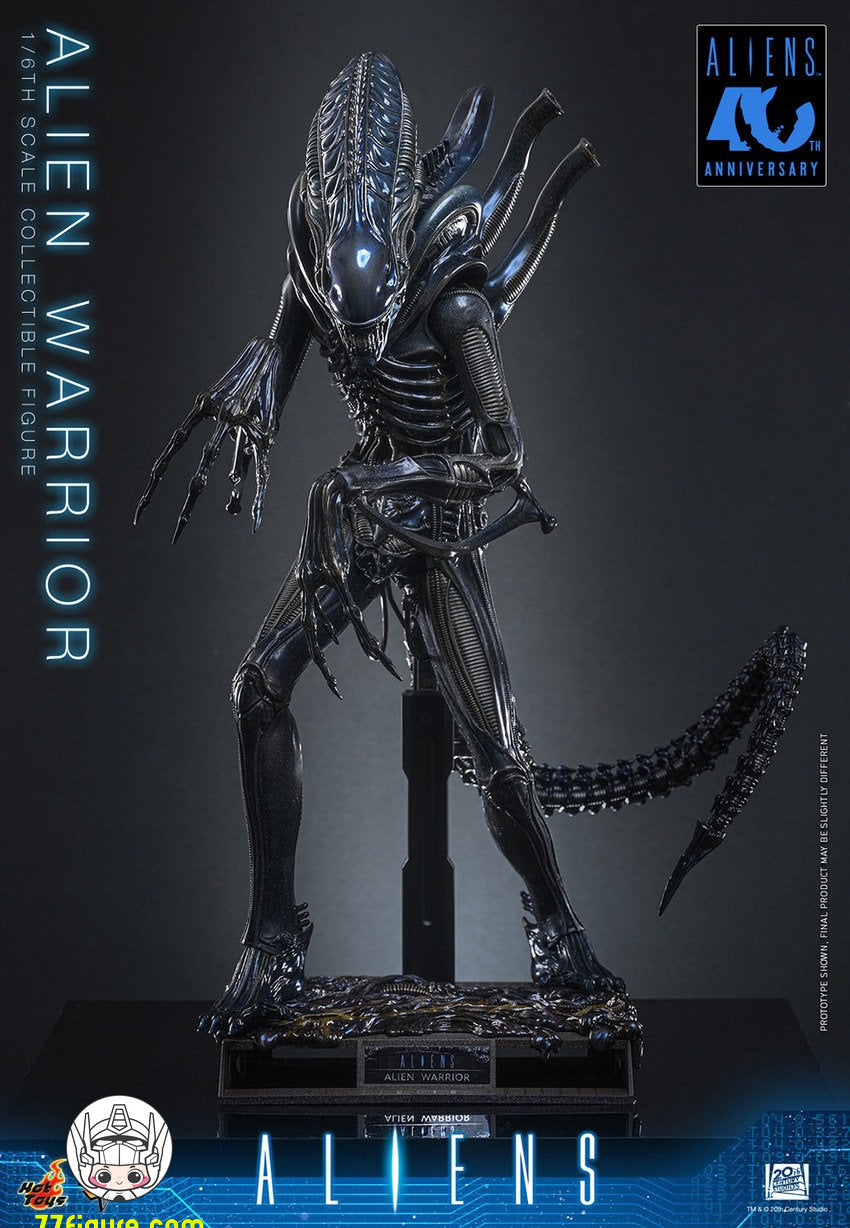 【予約商品】Hot Toys 1/6 MMS898『エイリアン2』エイリアン・ウォーリア 塗装済み可動フィギュア