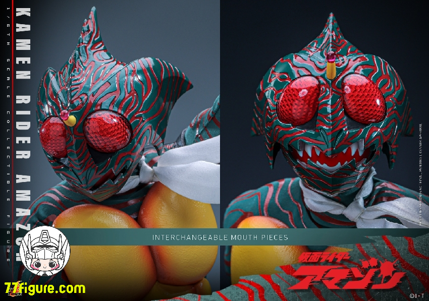 【予約商品】Hot Toys 1/6 TMS184 仮面ライダー アマゾン 塗装済み可動フィギュア