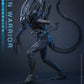 【予約商品】Hot Toys 1/6 MMS899『エイリアン2』エイリアン・ウォーリア 豪華版 塗装済み可動フィギュア