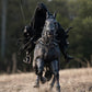 Round Culture Nazgûl & Nazgûl Steed Set