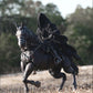 Round Culture Nazgûl & Nazgûl Steed Set