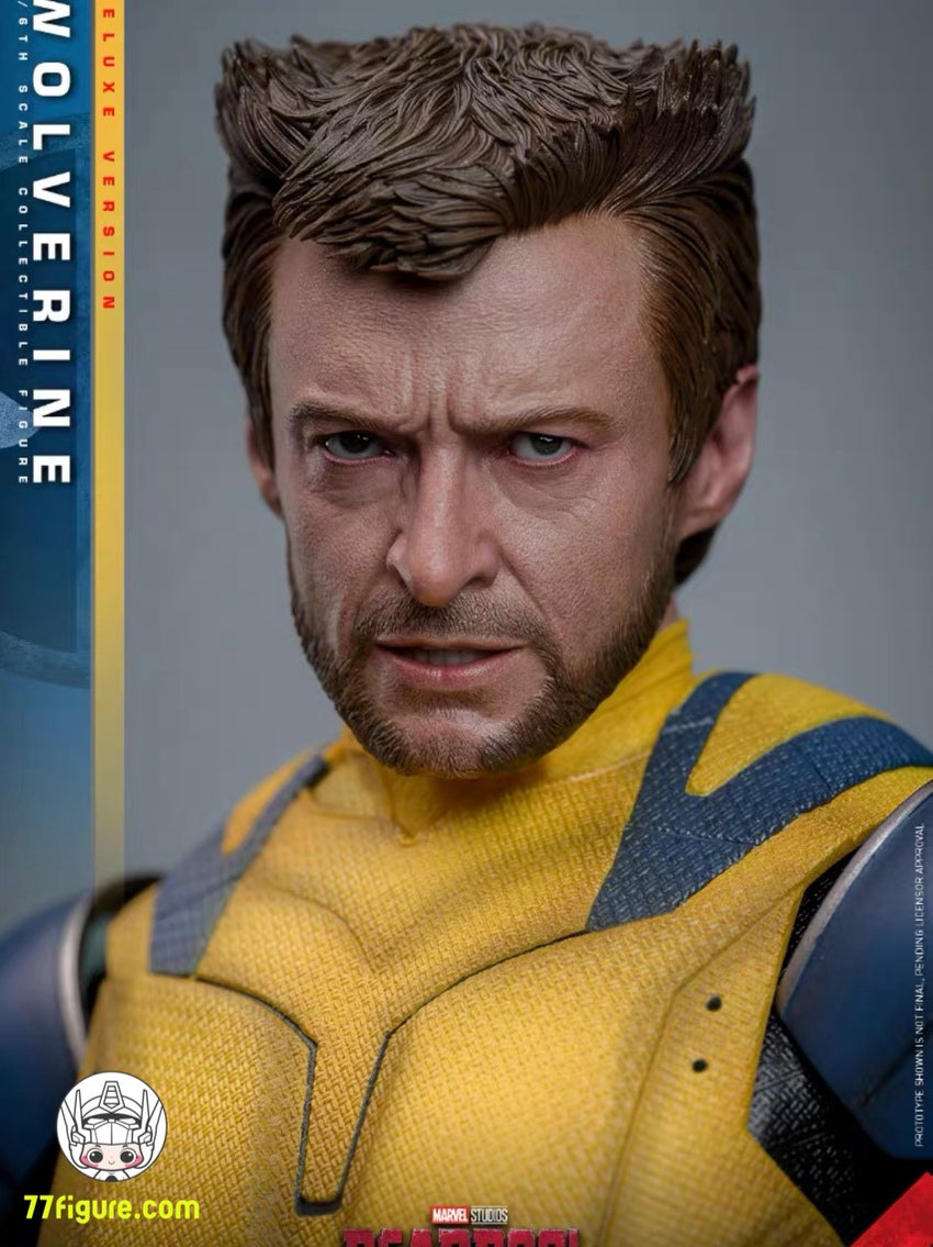 【予約受付終了】Hot Toys 1/6 MMS754  『デッドプール＆ウルヴァリン』ウルヴァリン 豪華版 塗装済み可動フィギュア