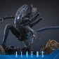 【予約商品】Hot Toys 1/6 MMS899『エイリアン2』エイリアン・ウォーリア 豪華版 塗装済み可動フィギュア