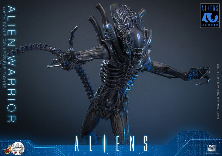 【予約商品】Hot Toys 1/6 MMS898『エイリアン2』エイリアン・ウォーリア 塗装済み可動フィギュア