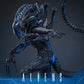 【予約商品】Hot Toys 1/6 MMS899『エイリアン2』エイリアン・ウォーリア 豪華版 塗装済み可動フィギュア