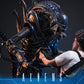 【予約商品】Hot Toys 1/6 MMS898『エイリアン2』エイリアン・ウォーリア 塗装済み可動フィギュア