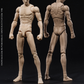 【品切れ】VTOYS X BMS 1/12 VB003 可動壱号素体 黄色肌 Ver.