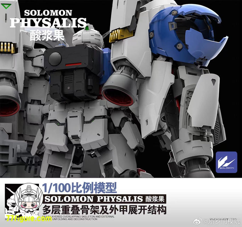 ソロモン Solomon 1/100 MG RX-78GP02A ガンダム試作2号機 サイサリス ガンプラ