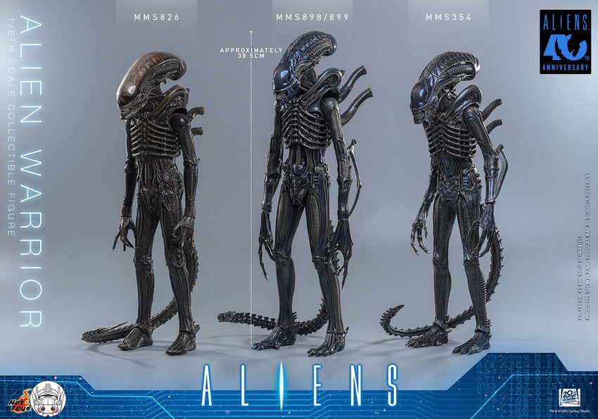 【予約商品】Hot Toys 1/6 MMS898『エイリアン2』エイリアン・ウォーリア 塗装済み可動フィギュア