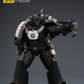 【予約商品】ジョイトイ JoyToy Source 1/18『ウォーハンマー ホルスの異端』レイヴンガード MKVI タクティカル サージェント パワーソード ボルター プラズマピストル付き 塗装済み可動フィギュア