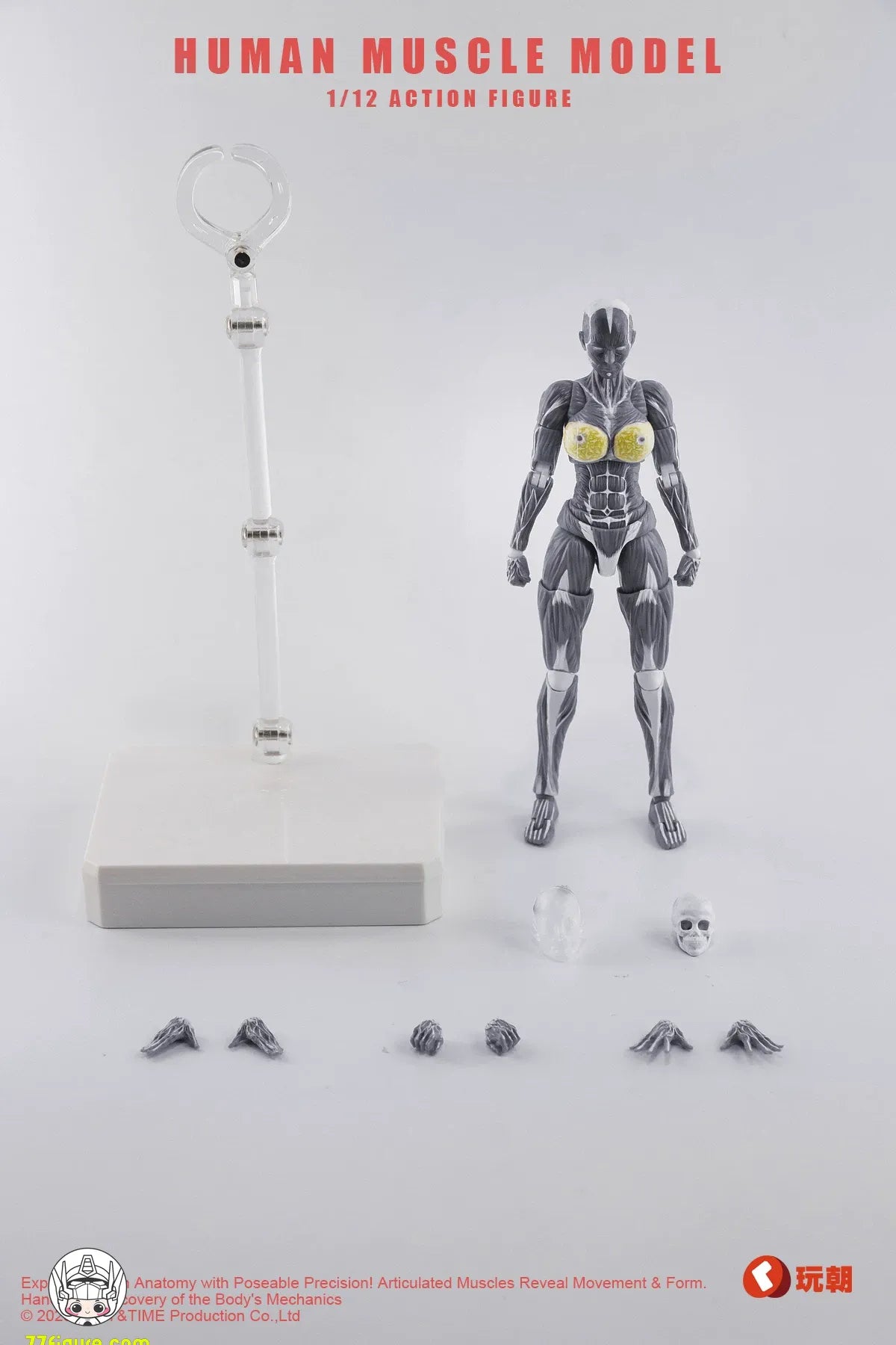 【予約商品】KEEPGOING 1/12 女性筋肉モデル 超可動ドール グレーカラーVer. 塗装済み可動フィギュア