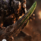 INART 1/12 MAG-C0004 Dark Nights: Metal Batman The Devastator 塗装済み可動フィギュア 商品画像 27